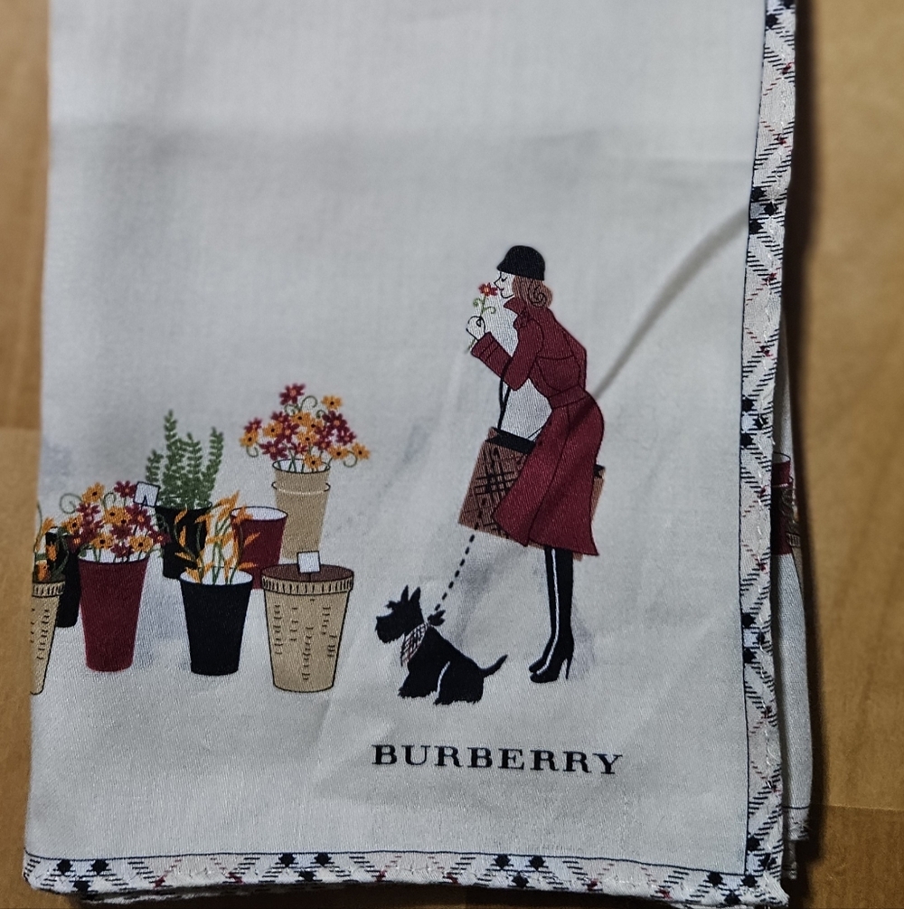 Burberry Cream Scarf with Burgundy Market Lady and Floral Pots